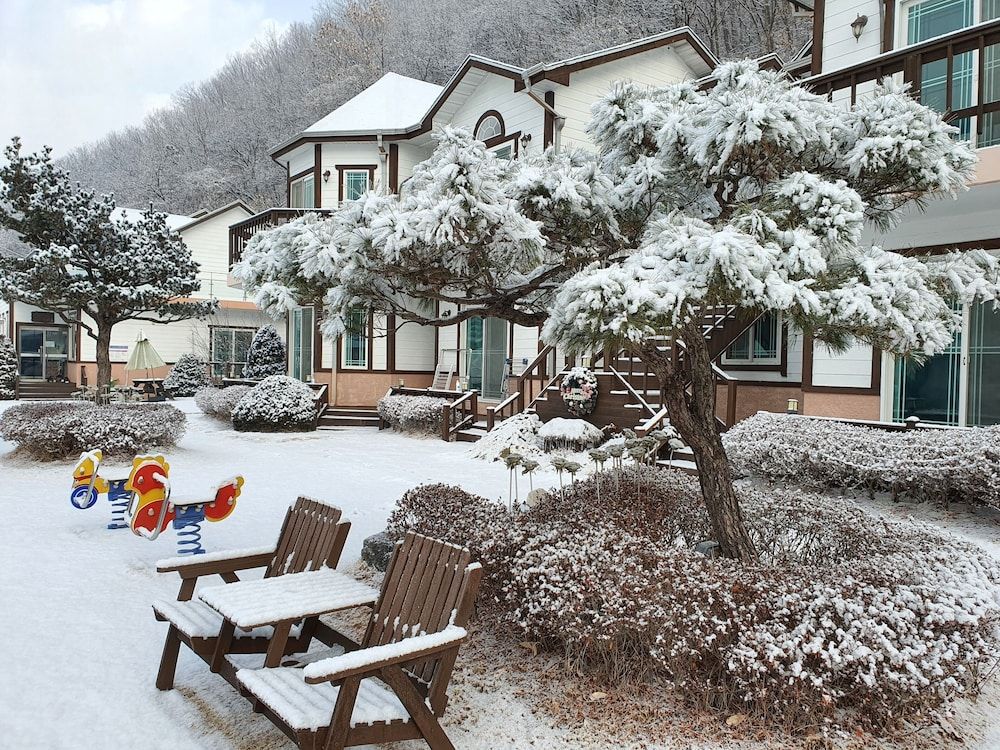 Forest of Color Pension