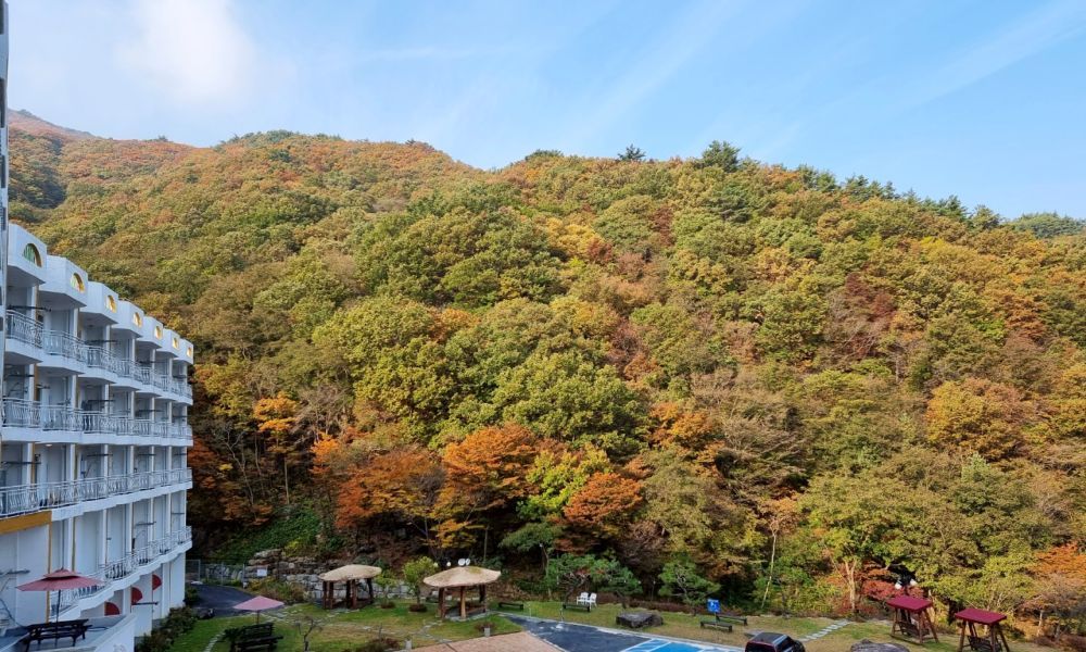 Gurye Junsung Resort