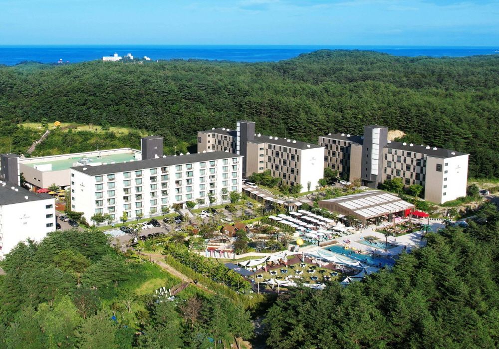 The N Resort