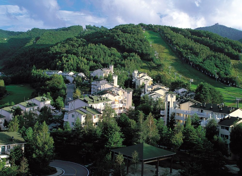 Yongpyong Resort Villa Condominium
