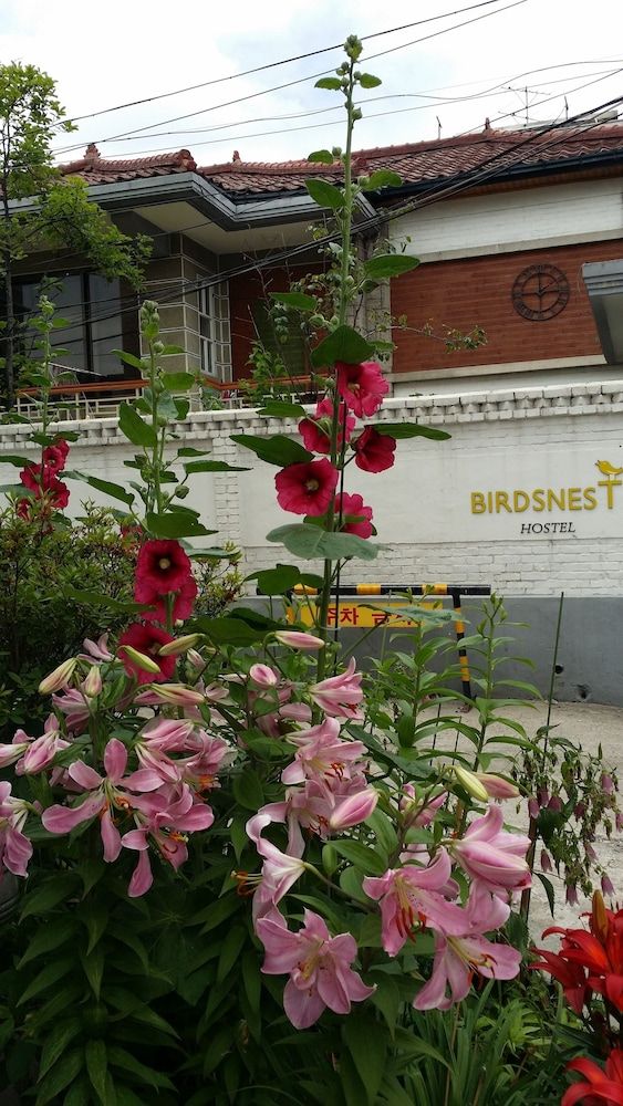 Birdsnest Hostel Hongdae